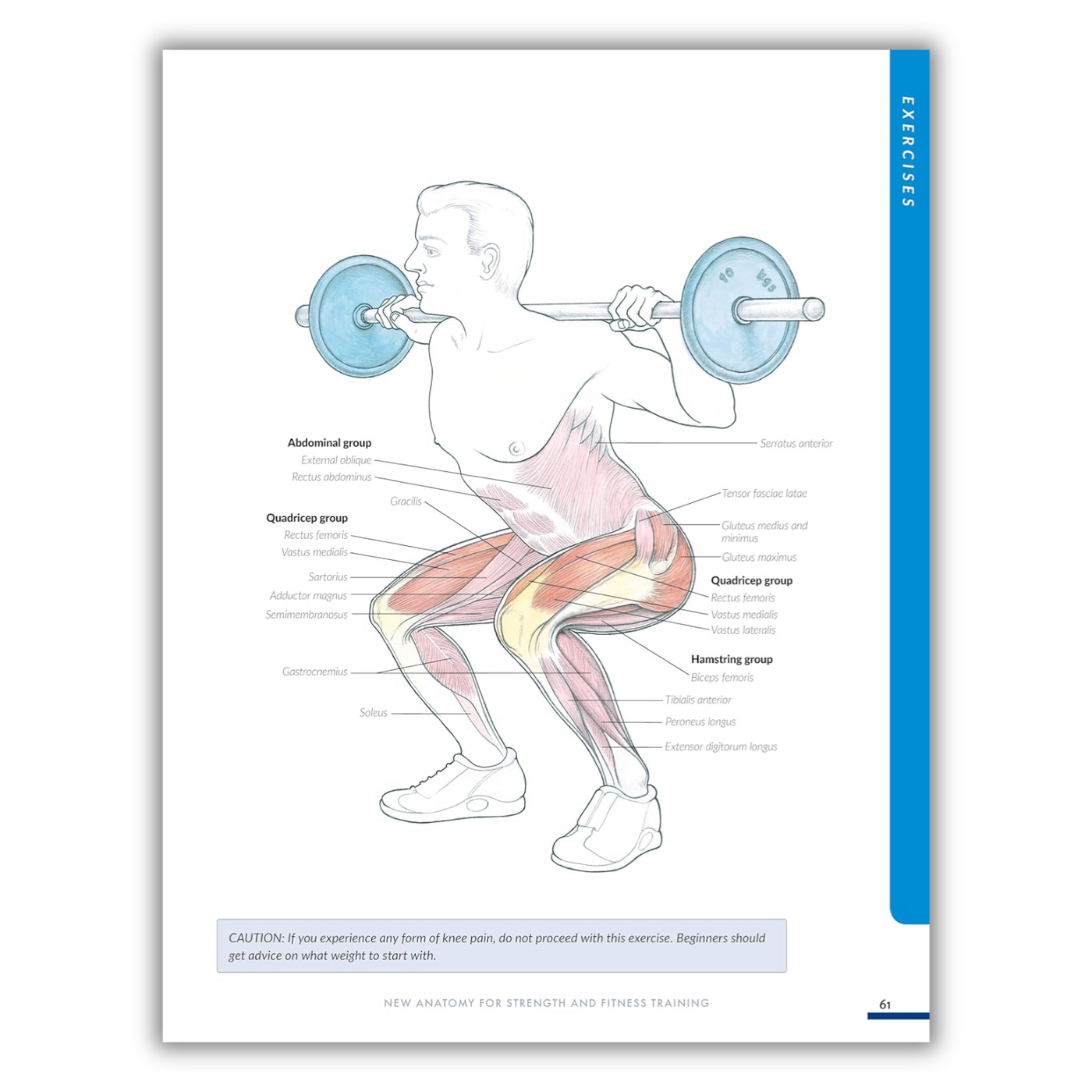 Inside page of New Anatomy for Strength & Fitness Training