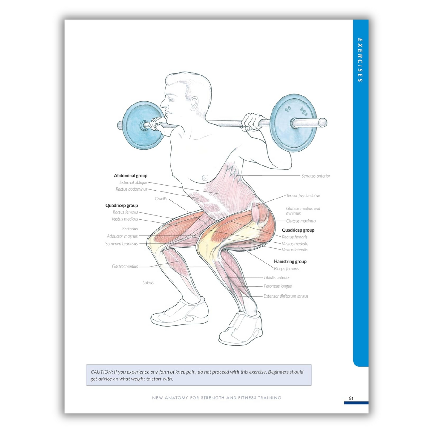 Vanity Muscle New Anatomy for Strength & Fitness Training: An Illustrated Guide to Y ...
