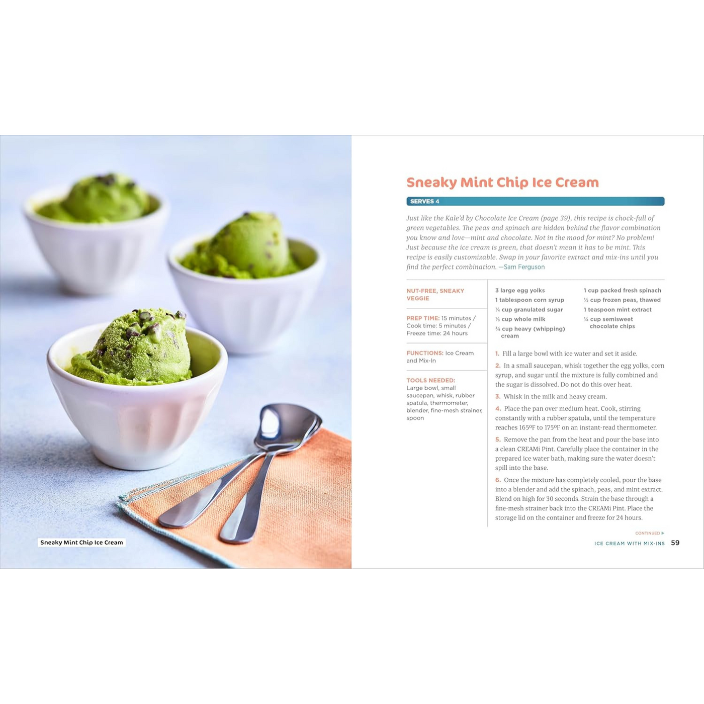 Sneaky Mint Chip Ice Cream