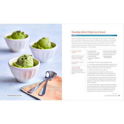 Sneaky Mint Chip Ice Cream