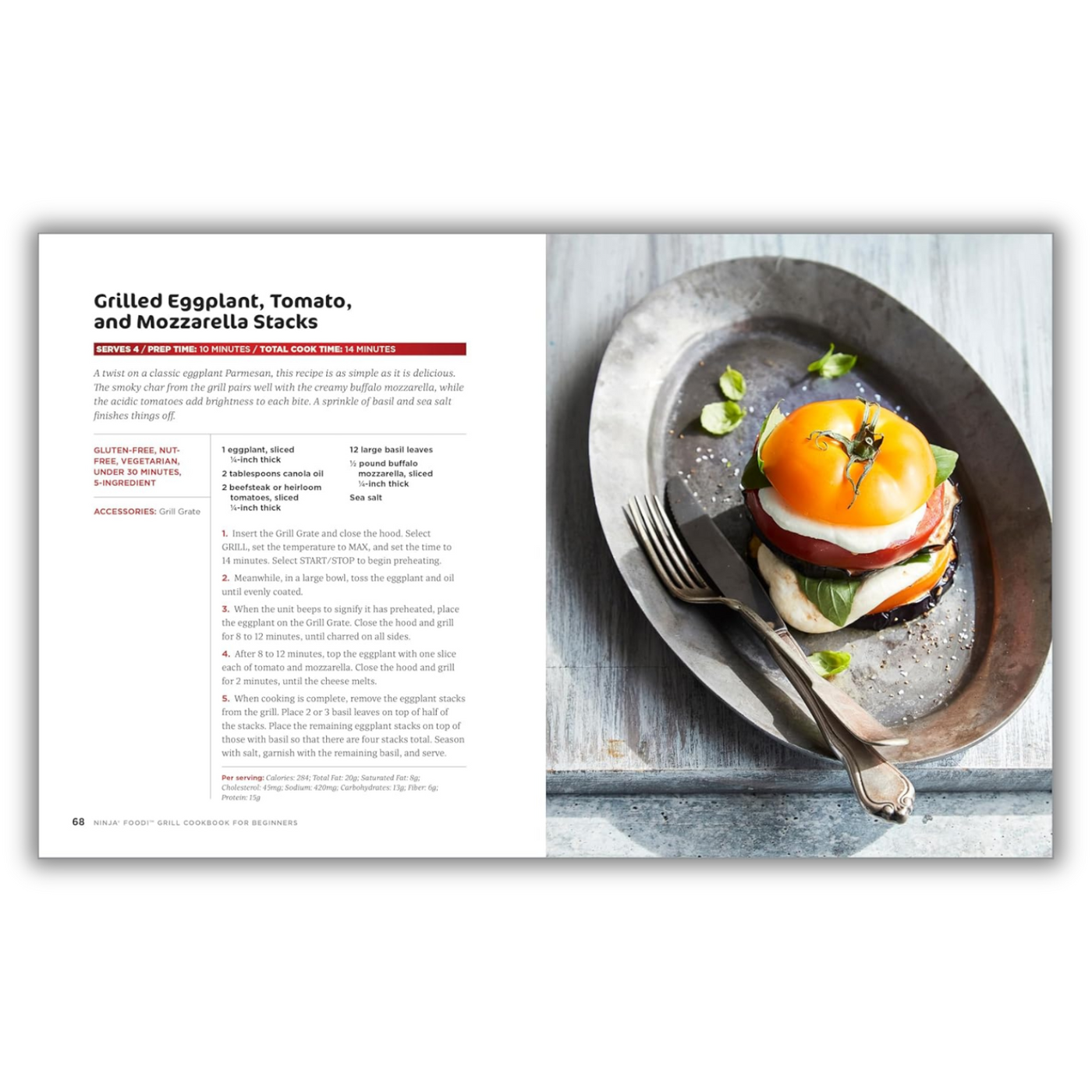 Grilled Eggplant, Tomato, and Mozzarella Stacks