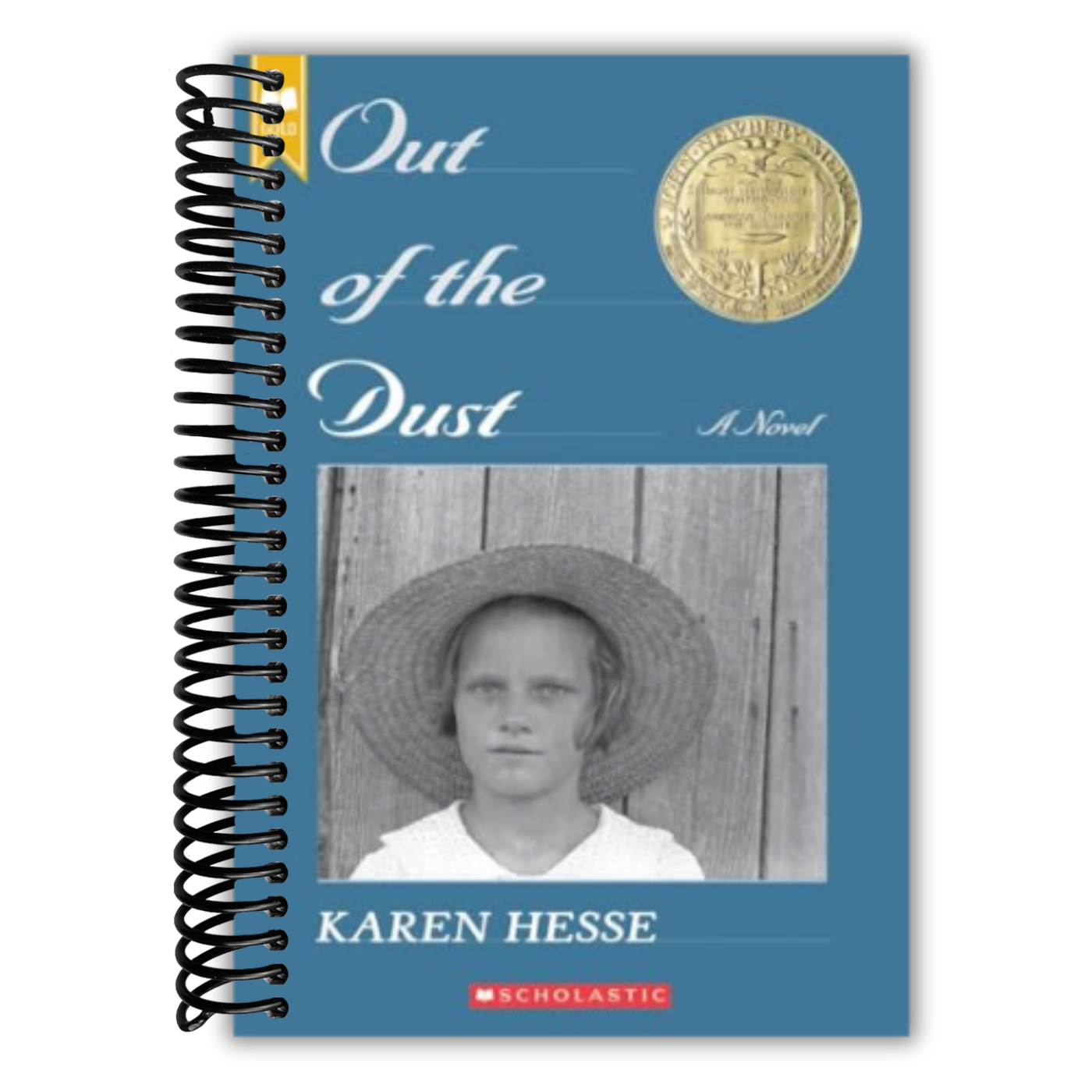 Out Of The Dust