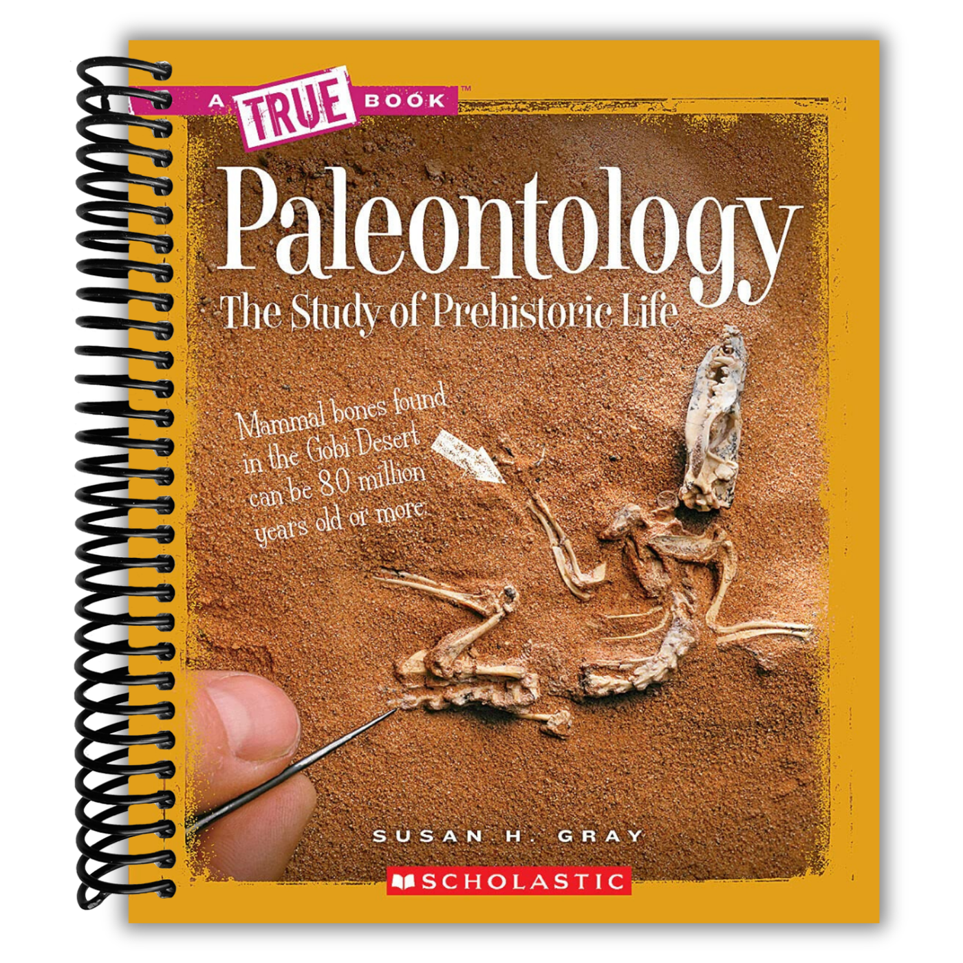 Paleontology (A True Book: Earth Science)