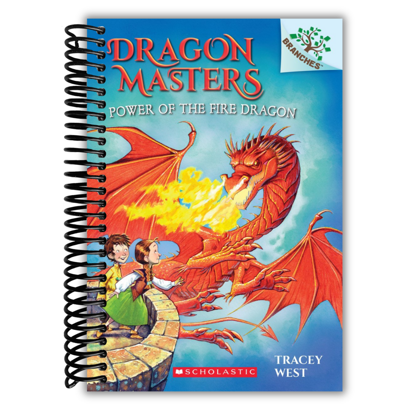 Front Cover for Power of the Fire Dragon: A Branches Book (Dragon Masters #4)