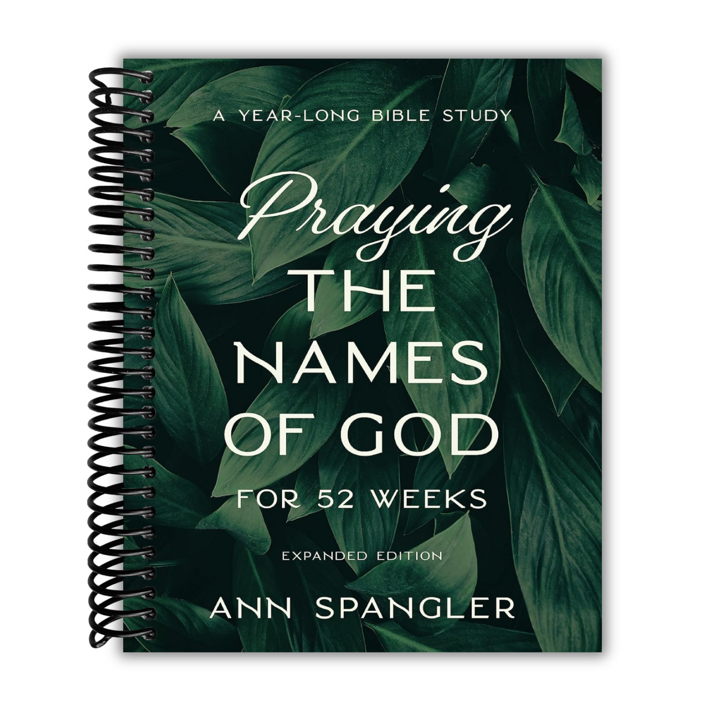 front cover of Praying the Names of God for 52 Weeks