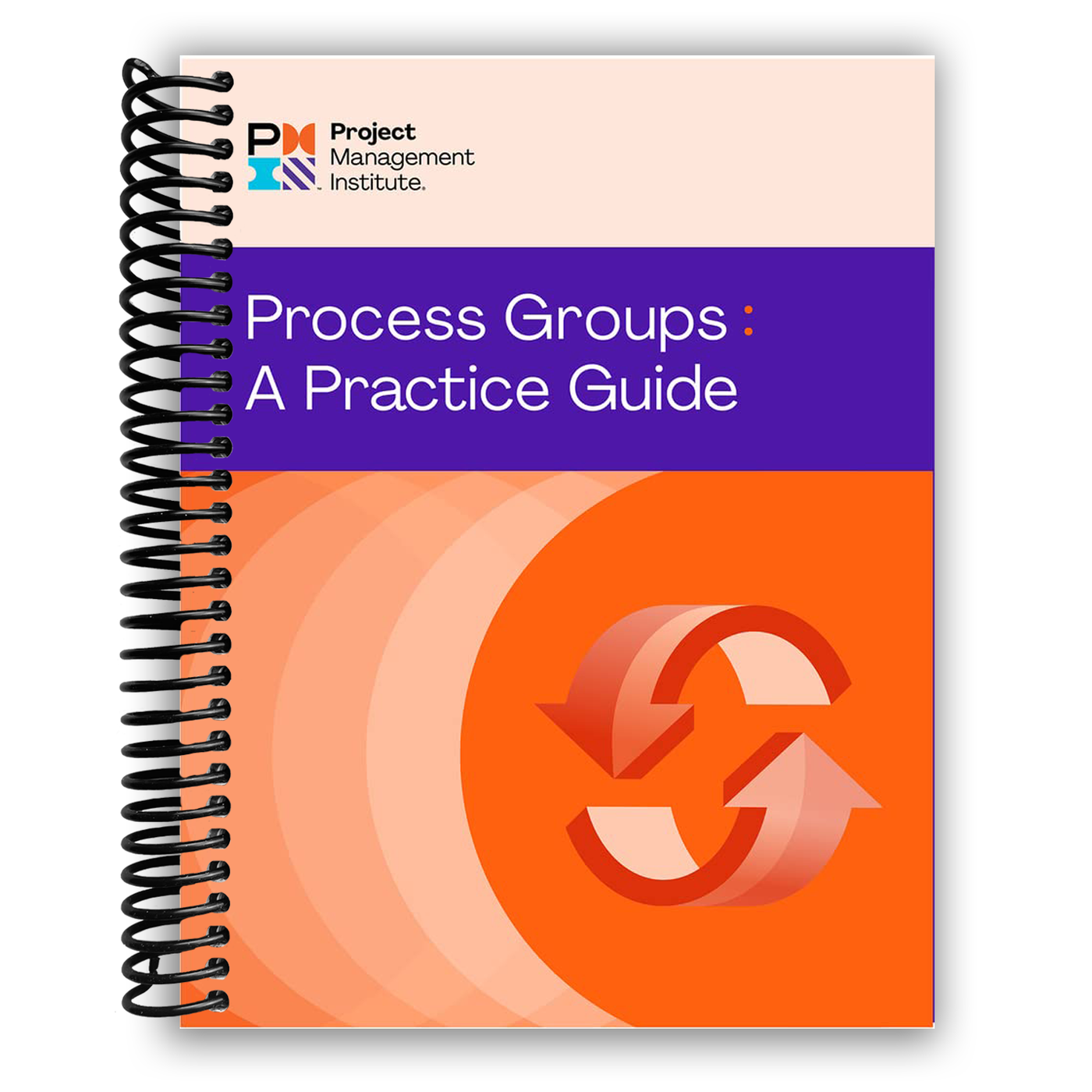 Process Groups: A Practice Guide (Spiral Bound)