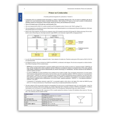 Page 4: Primer on Cytokeratins