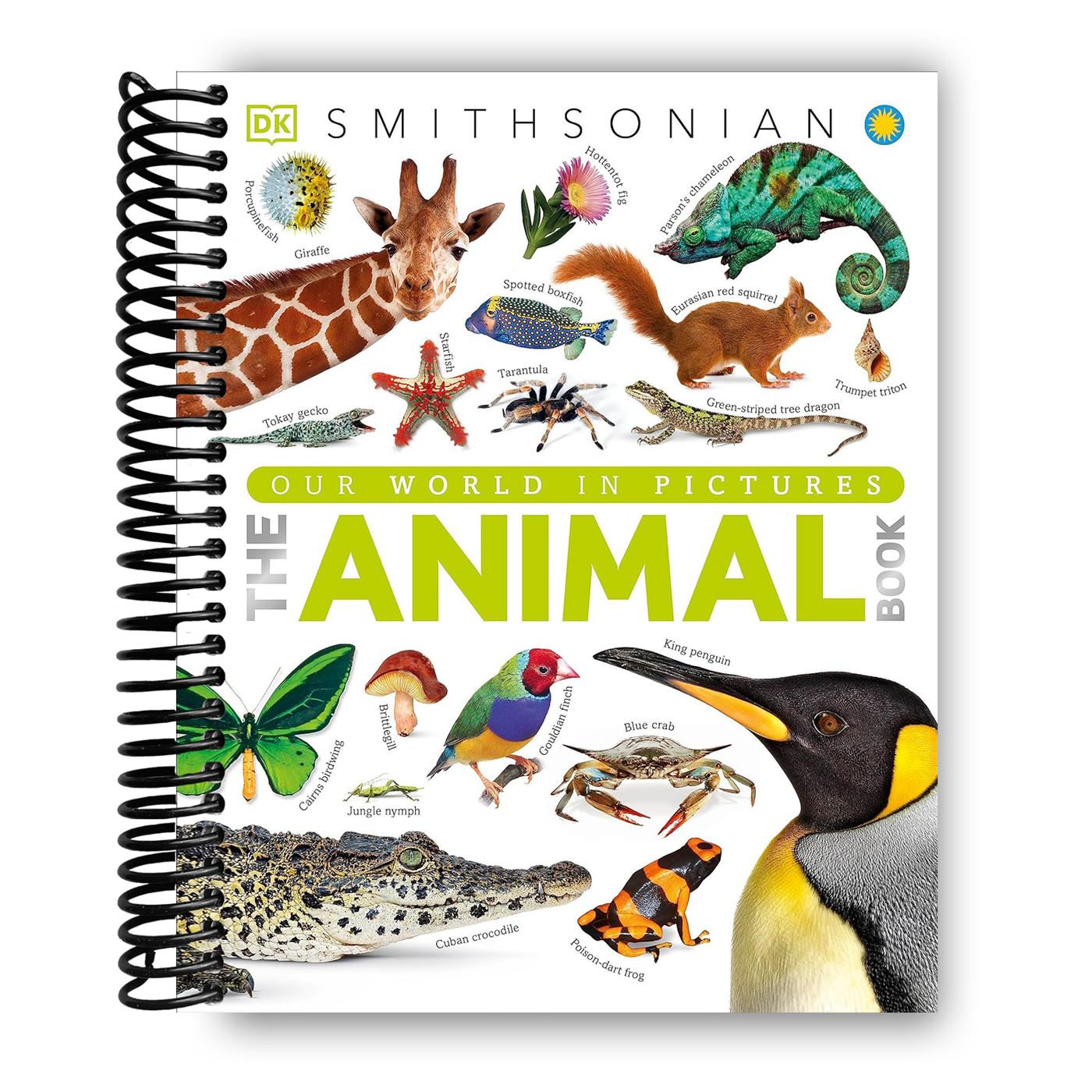 The Animal Book: A Visual Encyclopedia of Life on Earth (Spiral Bound)