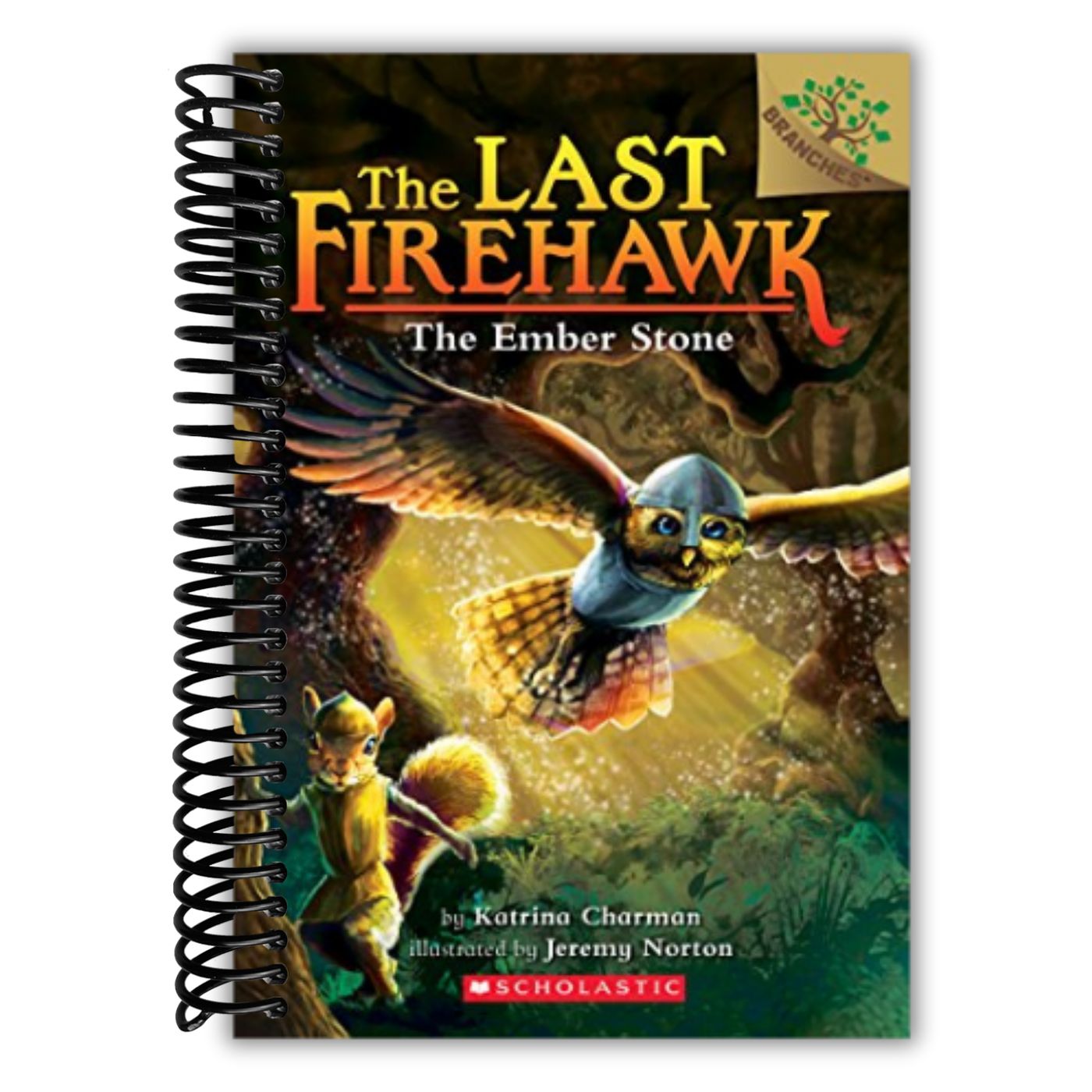 The Ember Stone: A Branches Book (The Last Firehawk #1) (1)