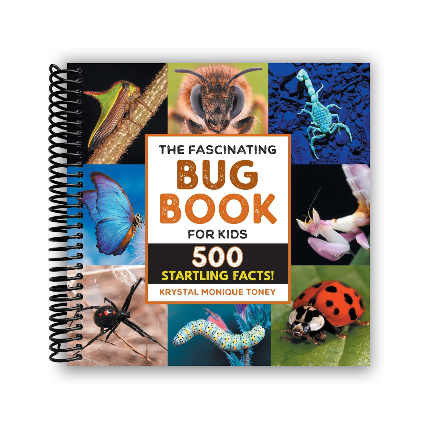 The Fascinating Bug Book for Kids: 500 Startling Facts! (Spiral Bound)