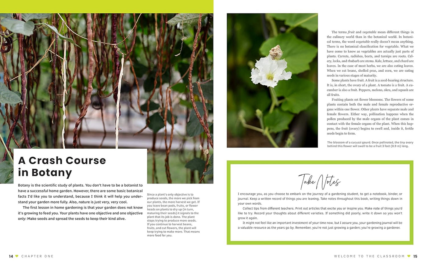 Page 15 of The First-time Gardener (A Crash Course in Botany