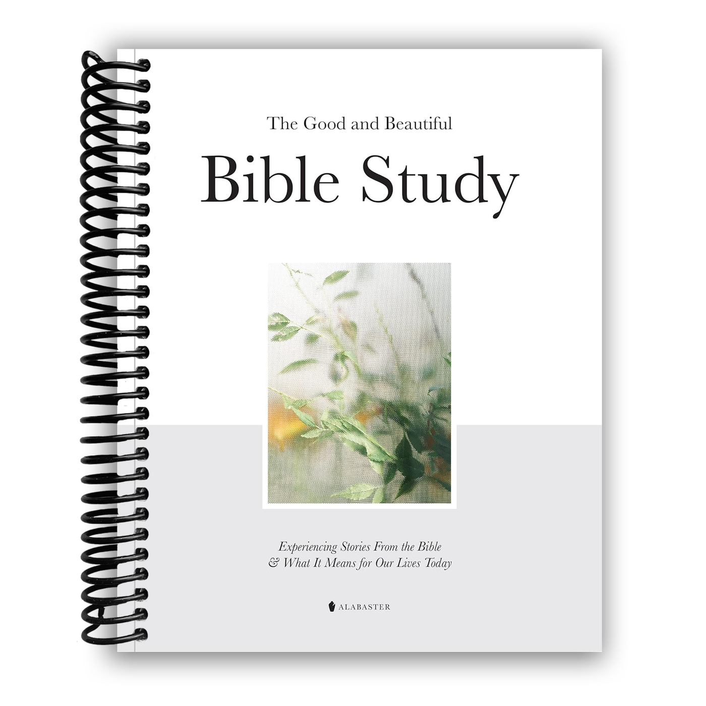 The Good and Beautiful Bible Study (Spiral Bound)