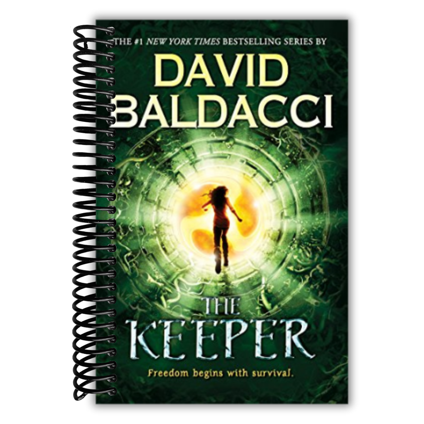 The Keeper (Vega Jane, Book 2) (2)