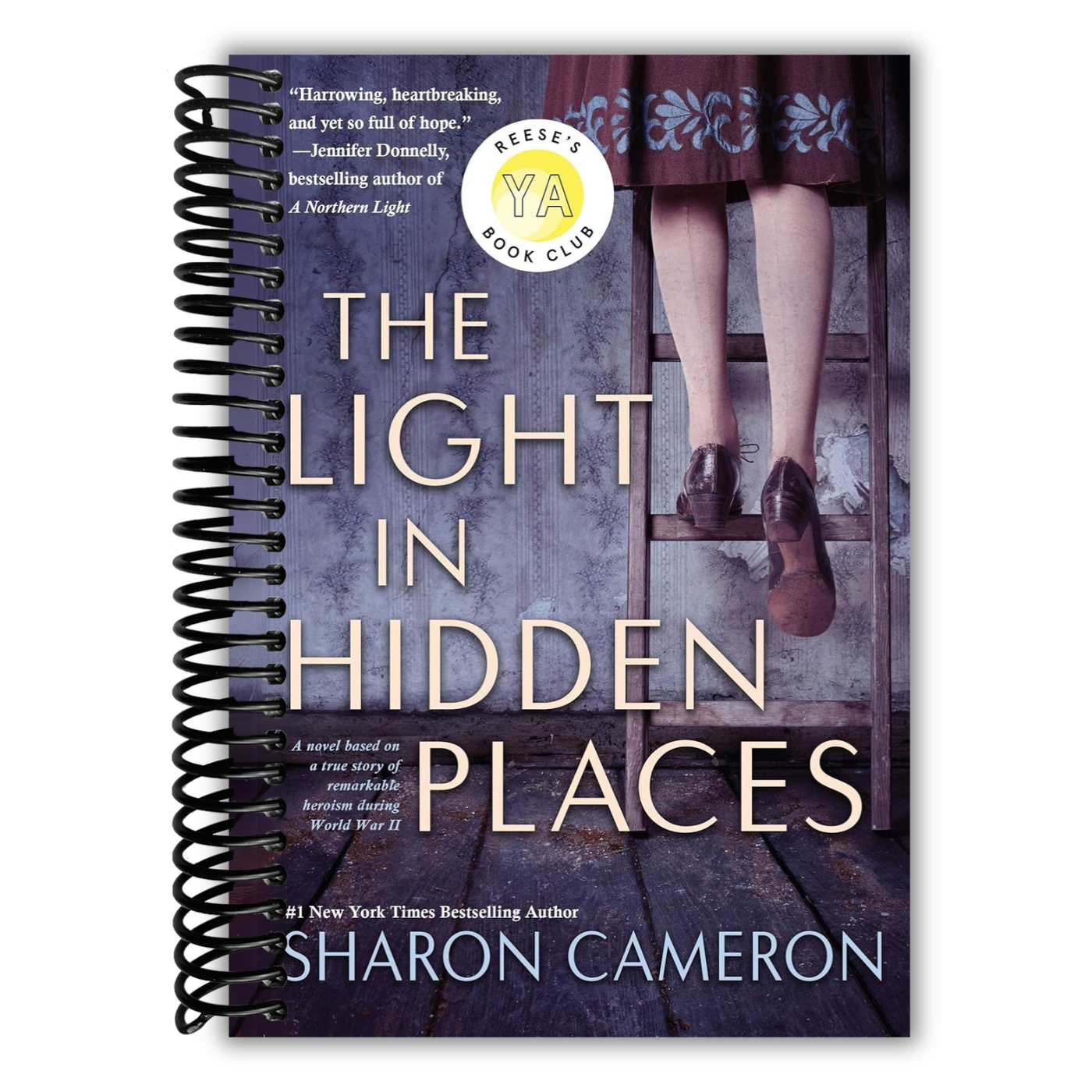 Front Cover of The Light in Hidden Places
