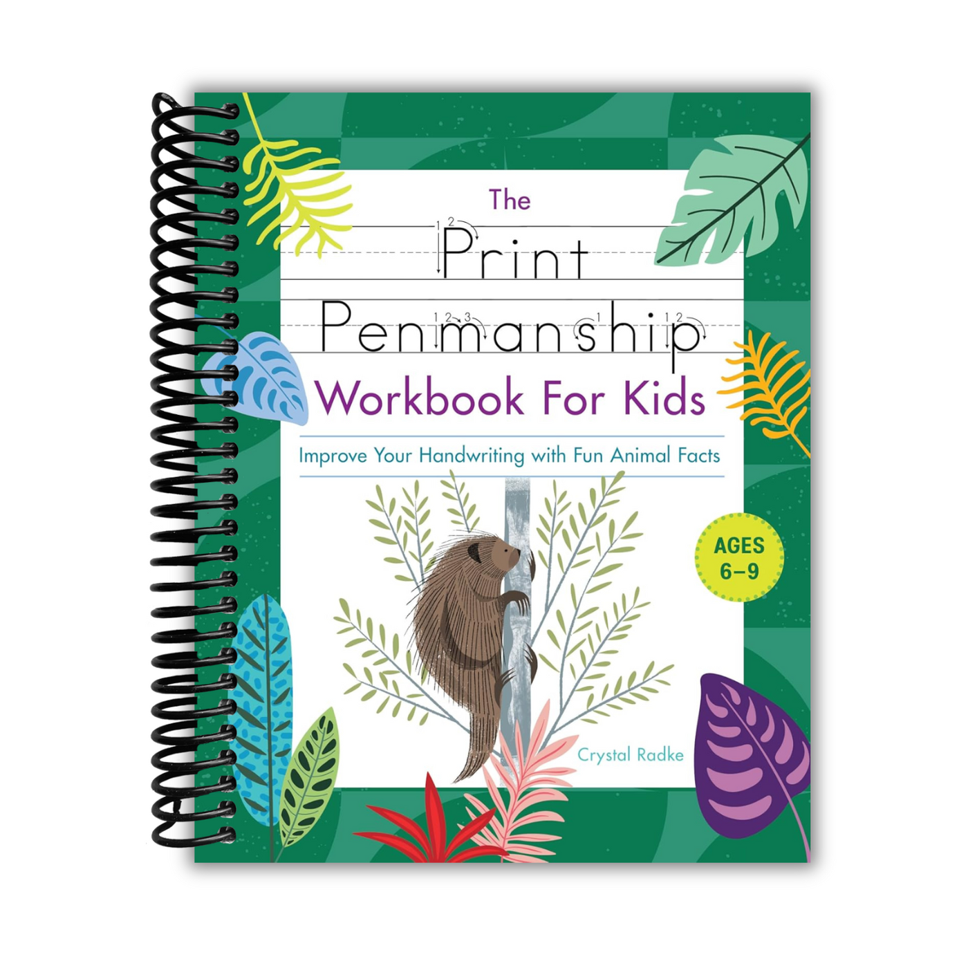 front cover of The Print Penmanship Workbook for Kids