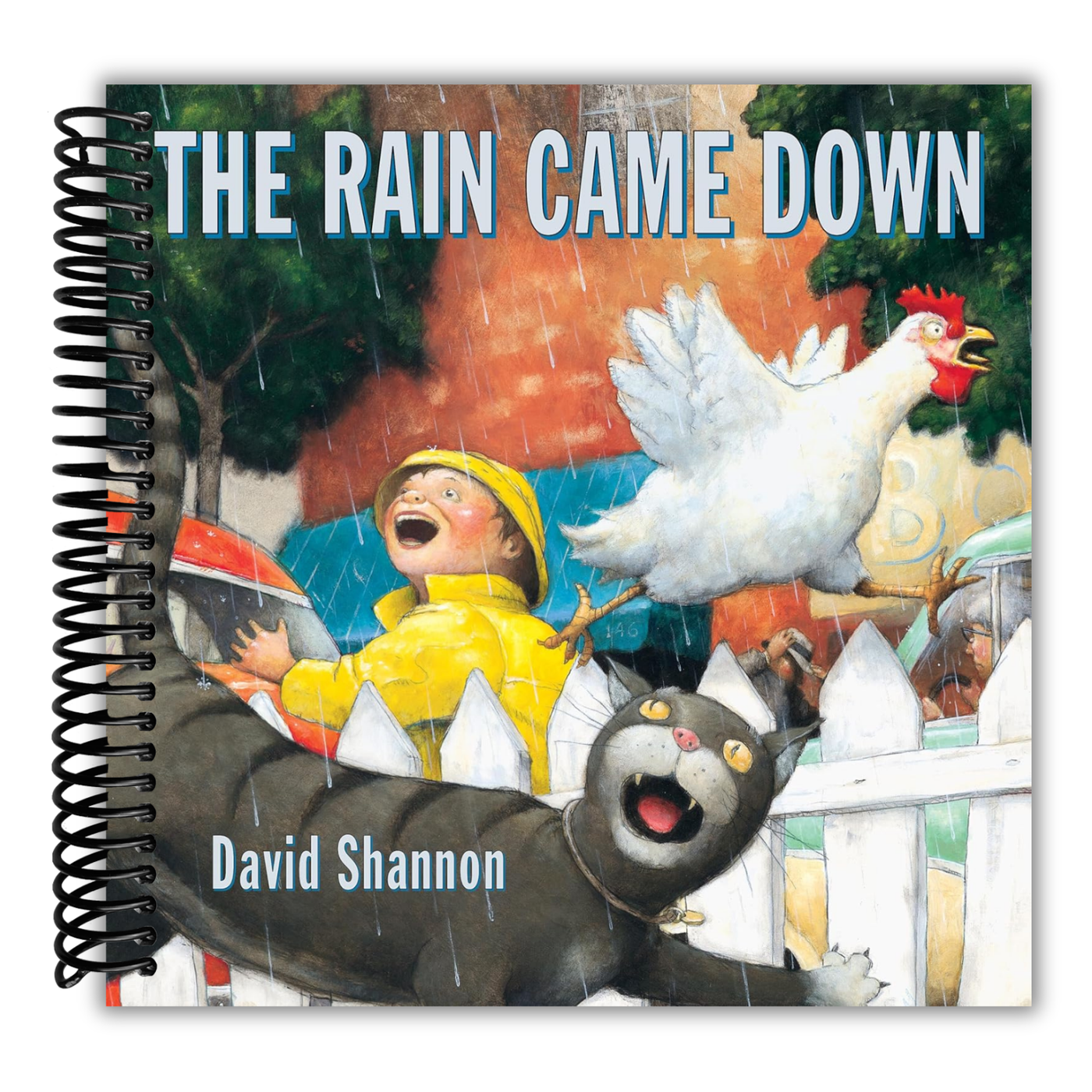 The Rain Came Down