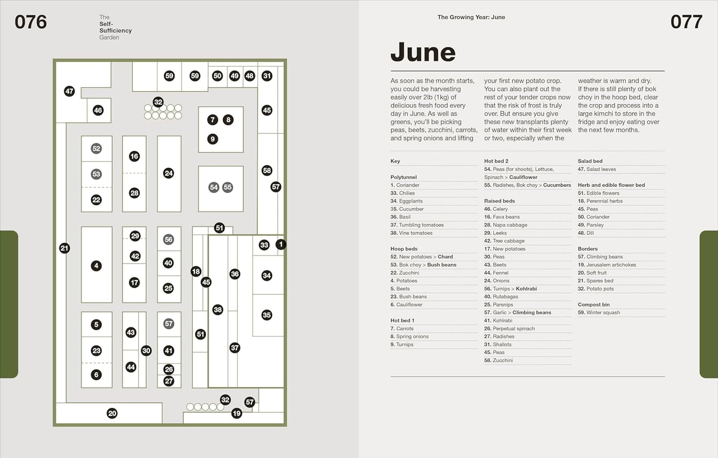 June Calendar of Activities