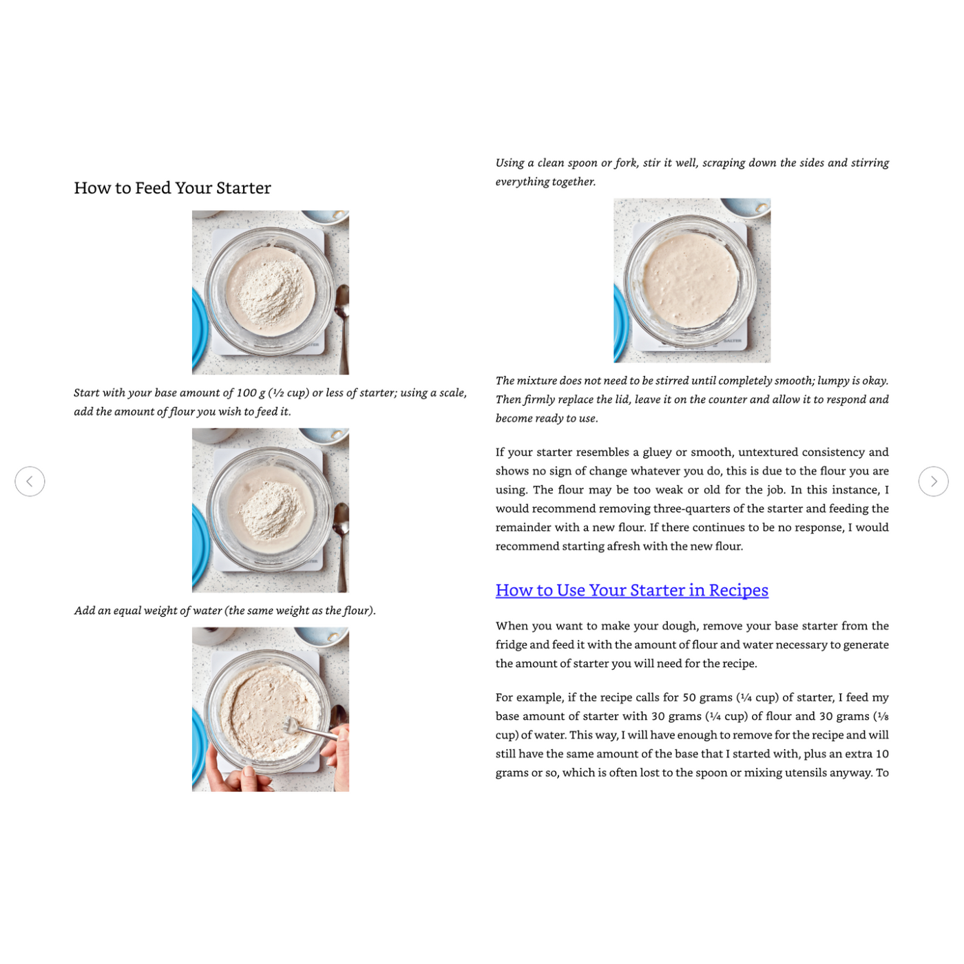 How to Feed Your Starter & How to Use Your Starter in Recipes