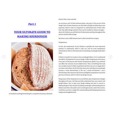 Part 1: The Ultimate Guide to Making Sourdough