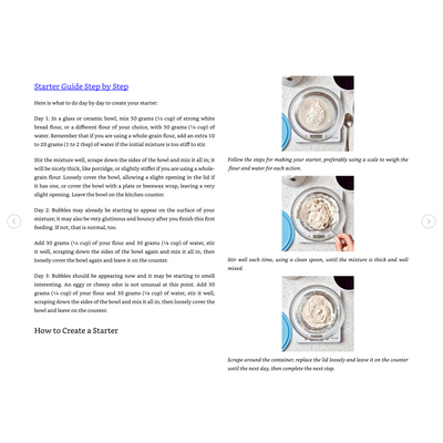 Starter Guide Step by Step