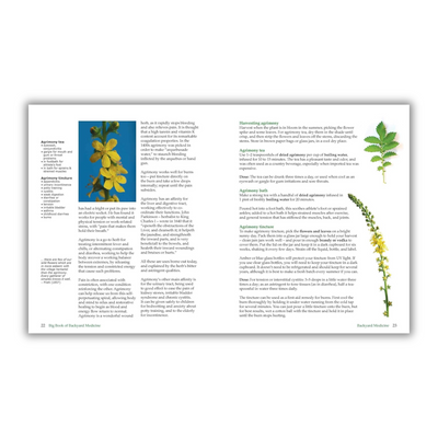 Pages 22 to 23: Agrimony Tea