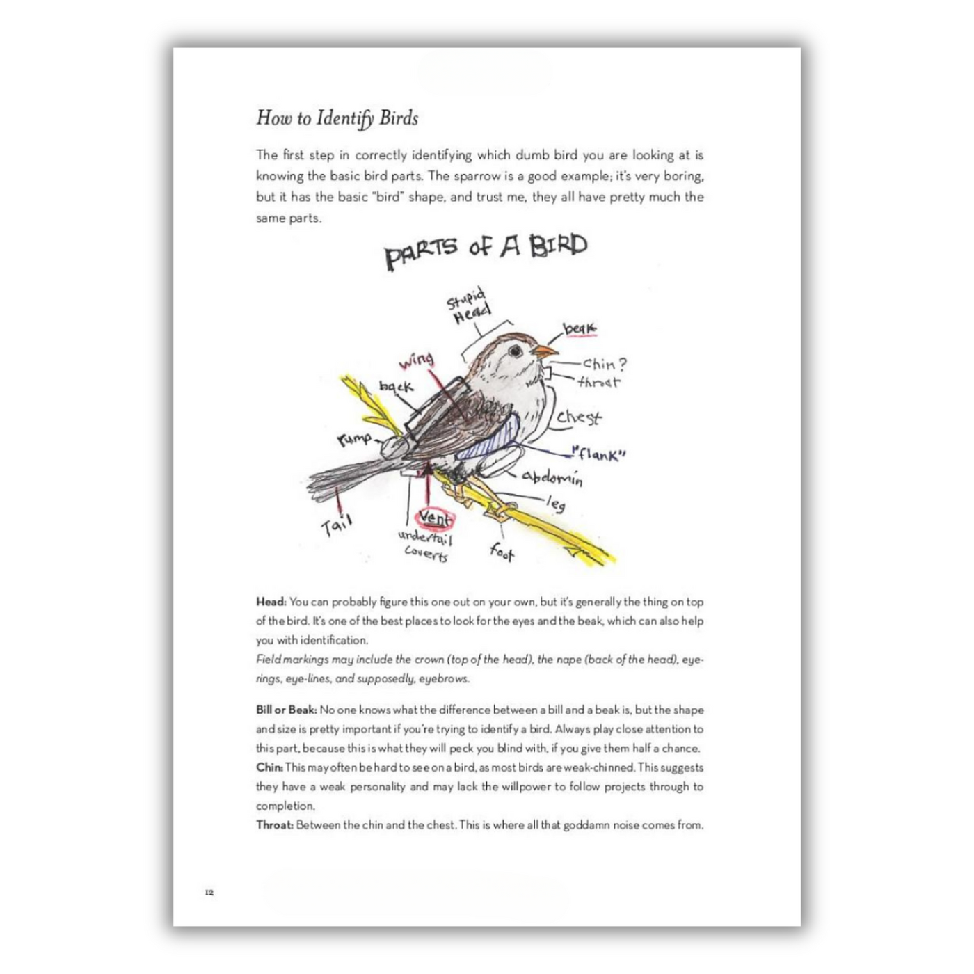 Page 12: How to Identify Birds and Parts of a Bird