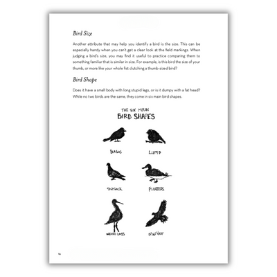 Page 14: Bird Size and Bird Shape