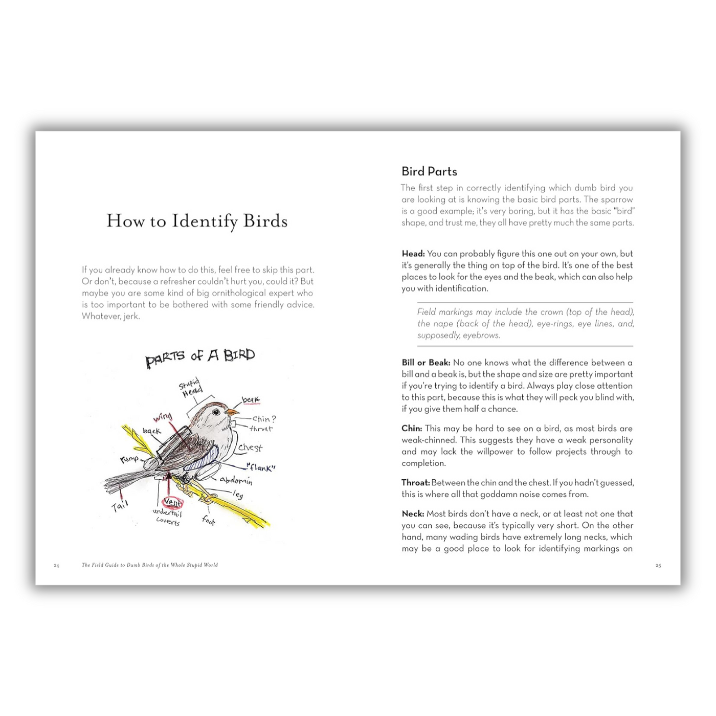 Pages 24 to 25: How to Identify Birds 