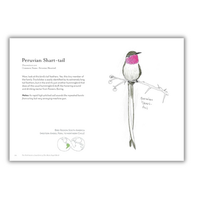 Page 202: Peruvian Sheartail