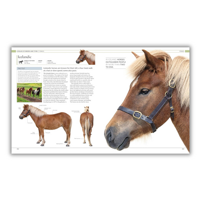 inside image of The Horse Encyclopedia 