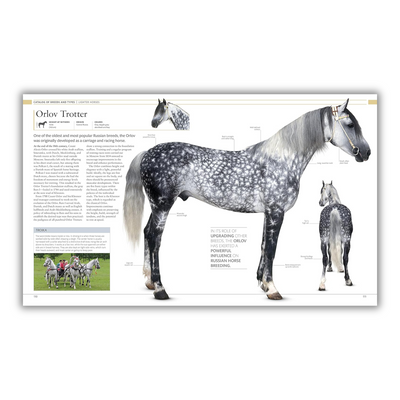 inside page of The Horse Encyclopedia 