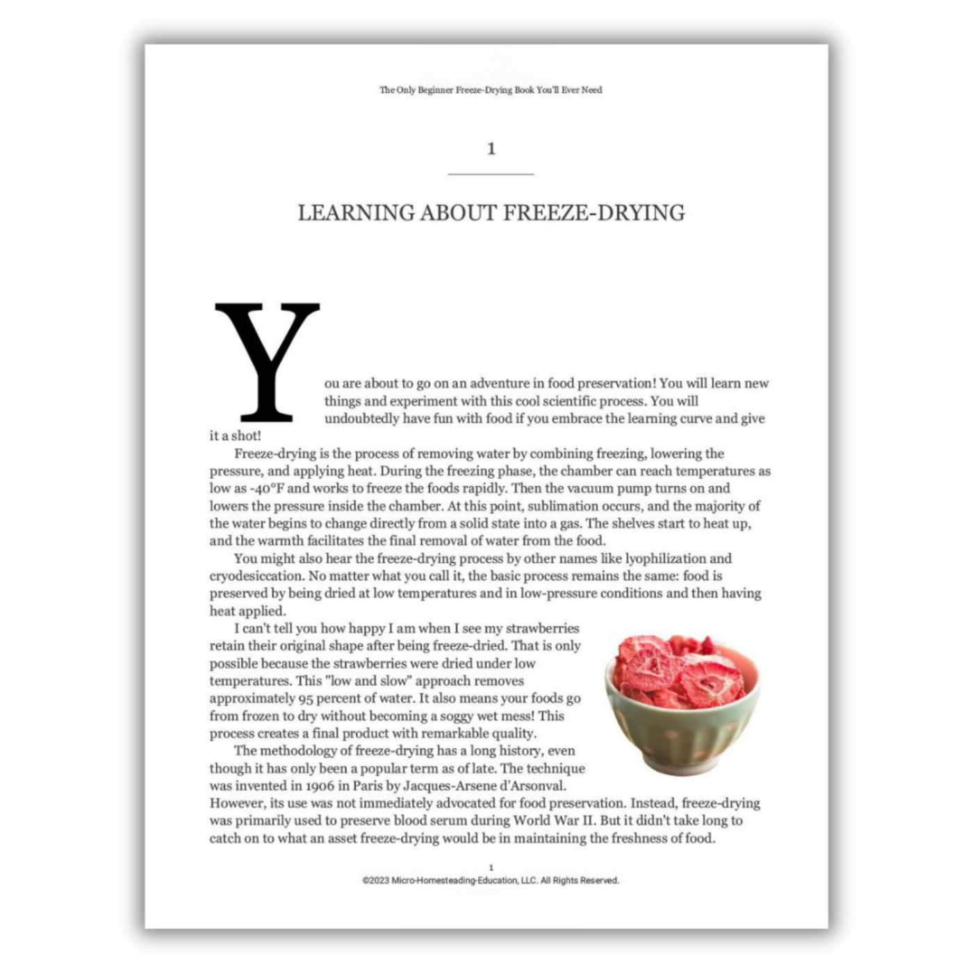 Learning About Freeze-Drying