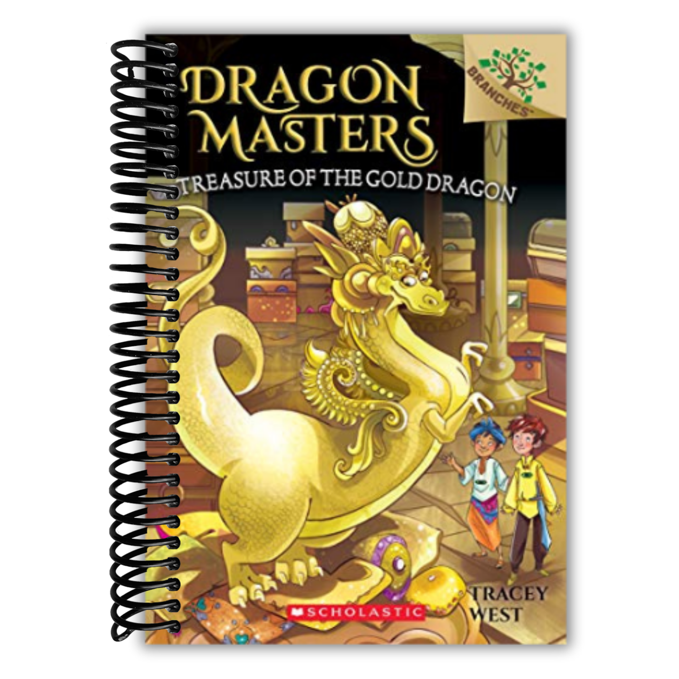 Treasure of the Gold Dragon: A Branches Book (Dragon Masters #12) (12)