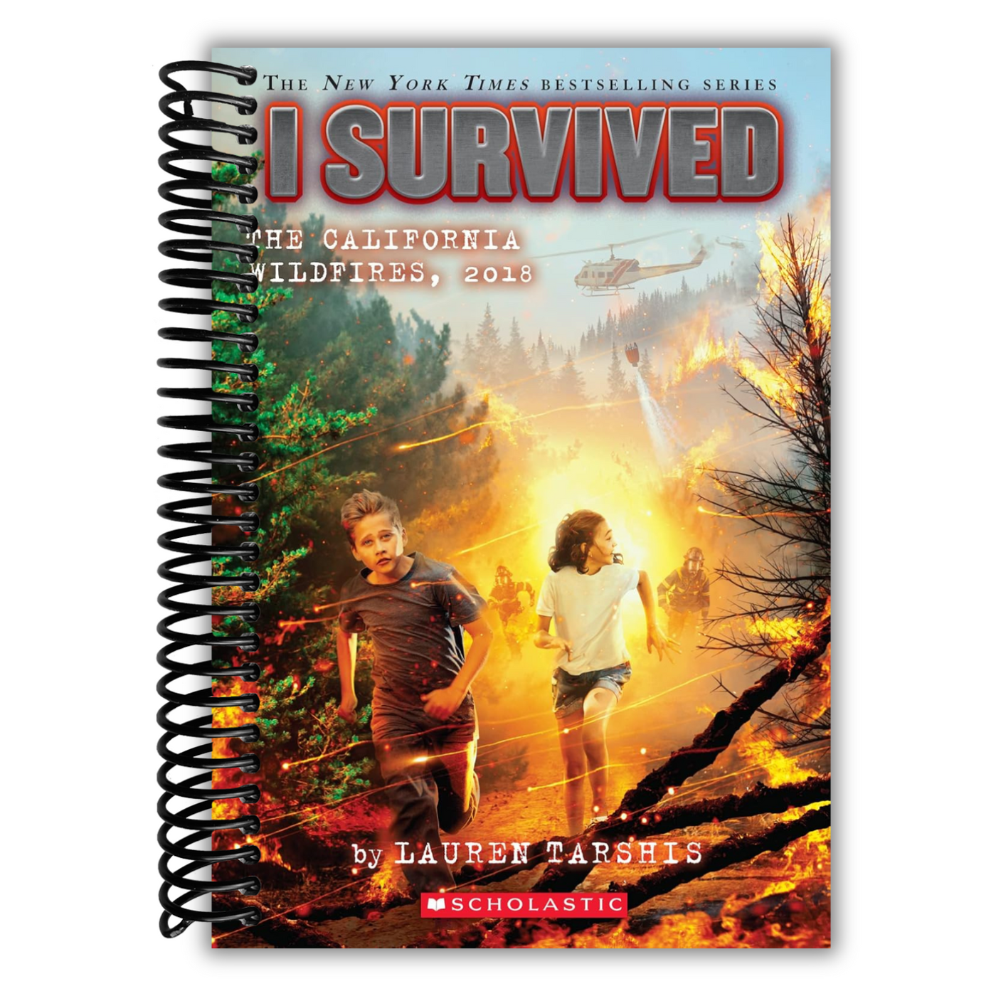 Fron cover of I Survived the California Wildfires, 2018 (I Survived #20) (20)