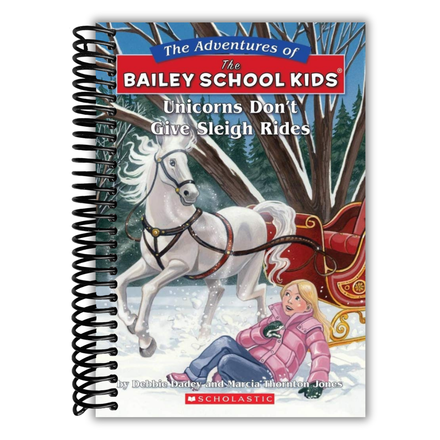 Unicorns Don't Give Sleigh Rides (The Adventures of the Bailey School Kids, No. 28)