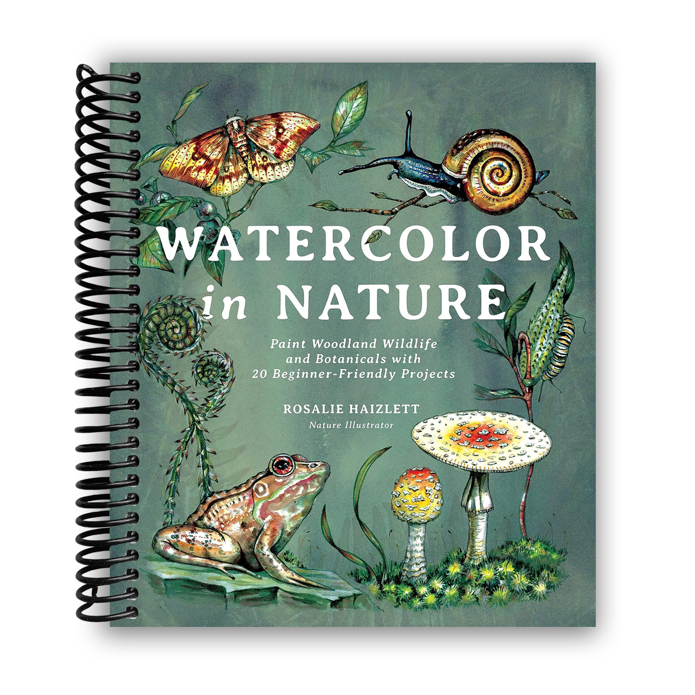 Watercolor in Nature: Paint Woodland Wildlife and Botanicals with 20 Beginner-Friendly Projects (Spiral Bound)