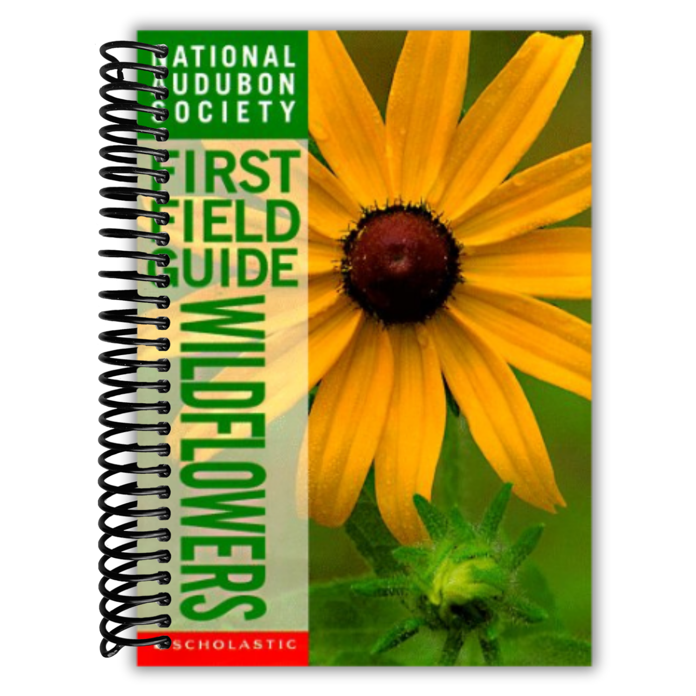 Wildflowers (National Audubon Society First Field Guide)