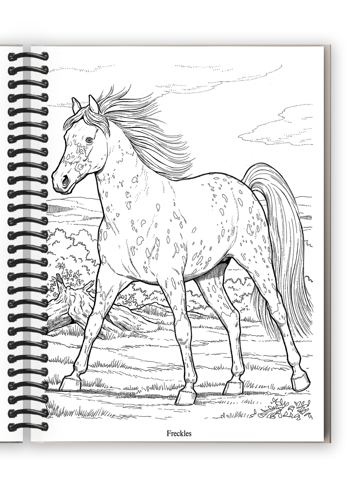 Wonderful World of Horses Coloring Book (Spiral Bound)