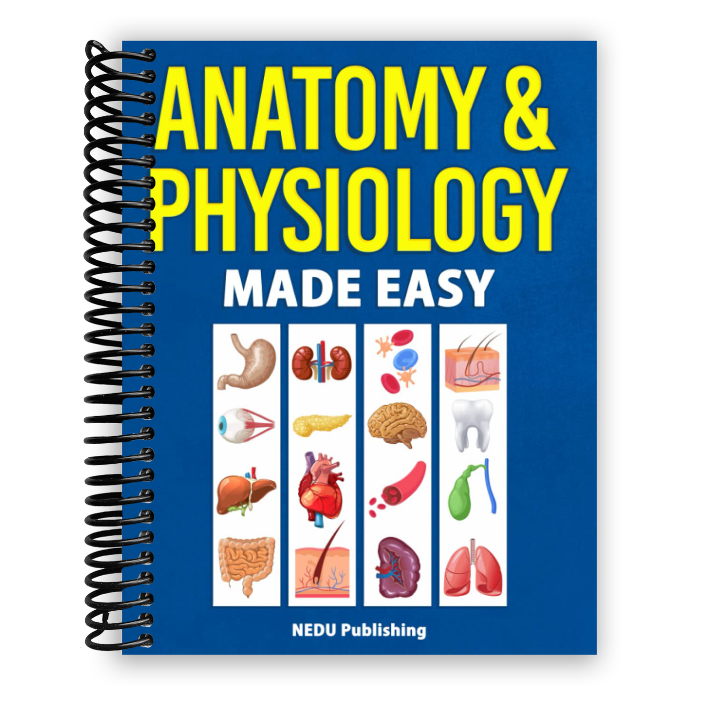Anatomy & Physiology Made Easy: An Illustrated Study Guide for Students To Easily Learn Anatomy and Physiology (Spiral Bound)