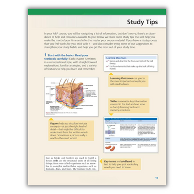 Study Tips