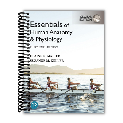 Front cover of Essentials of Human Anatomy & Physiology