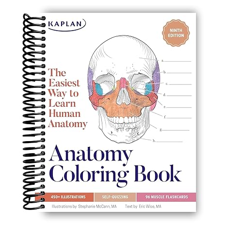 Front cover of Anatomy Coloring Book