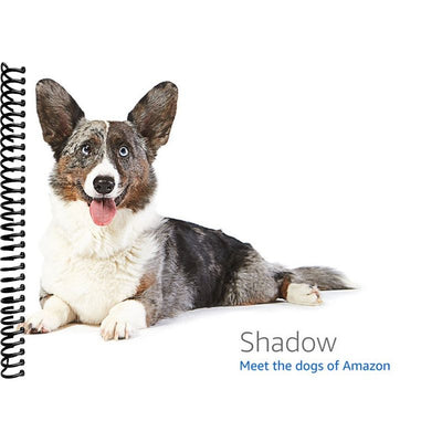 Conservative Mind Book Cover