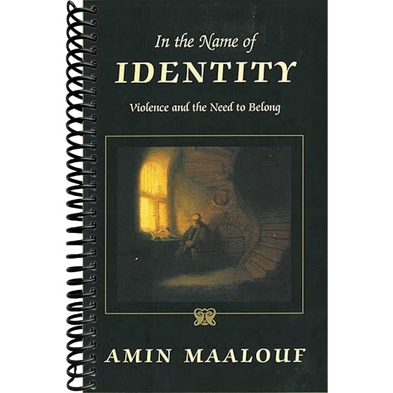 In the Name of Identity Book Cover