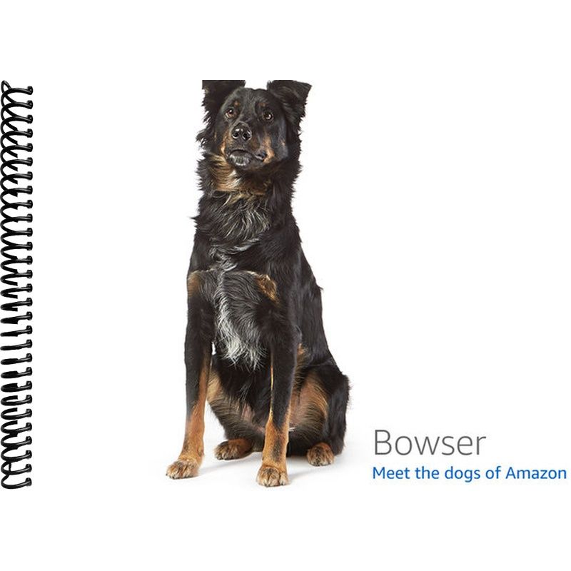 Kama Sutra Book Cover