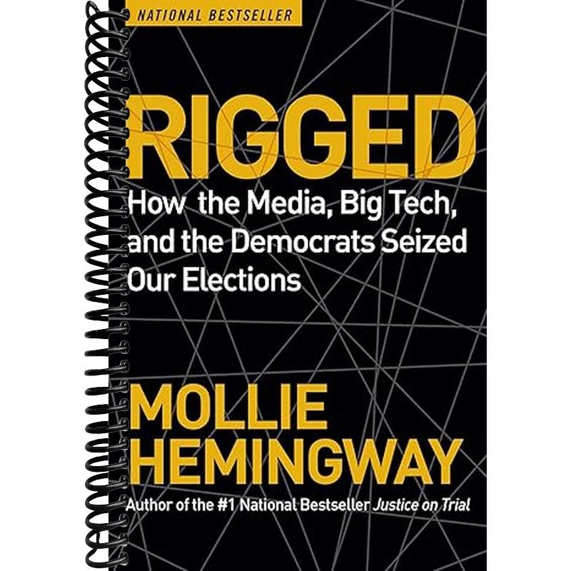 Rigged Book Cover