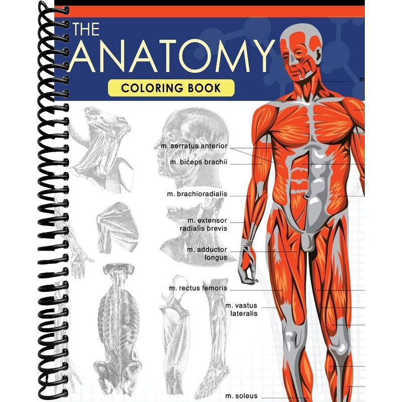 The Anatomy Coloring Book: A Complete Study Guide (9th Edition) – Lay ...