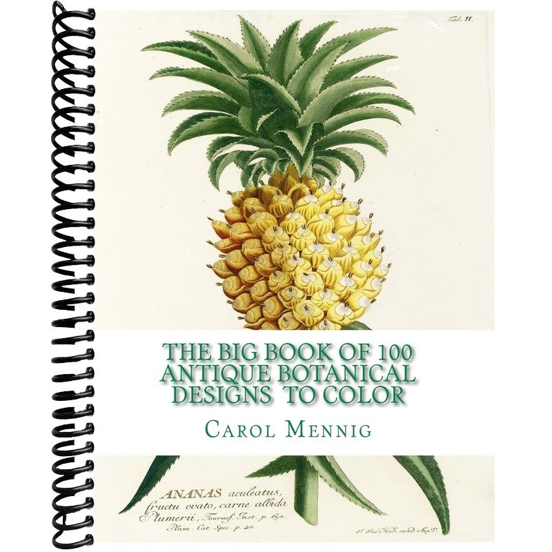Botanical Pattern Book The Big Book of 100 Botanical Designs to Color – Lay it Flat Publishing ...