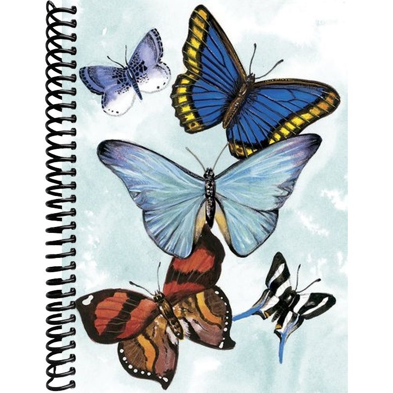 Butterfly Notebook – Lay it Flat Publishing Group