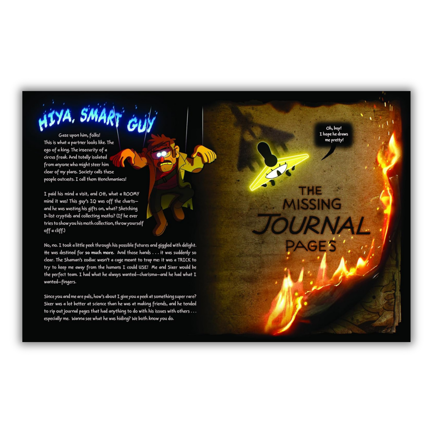 The Missing Journal Pages